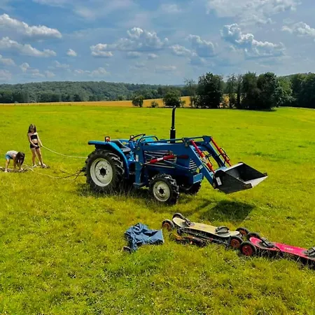 Le Pommier Rustique * Yvoir