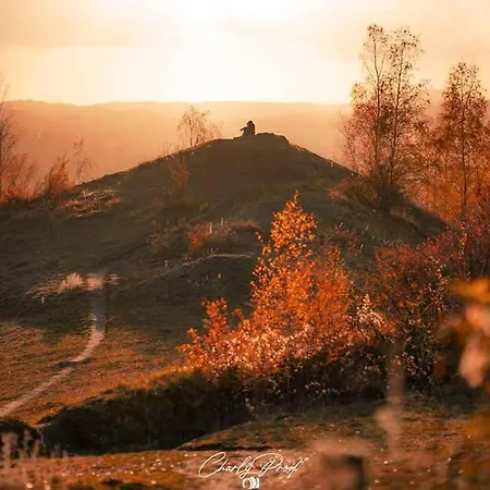 Le Pommier Rustique Кемпинг Yvoir
